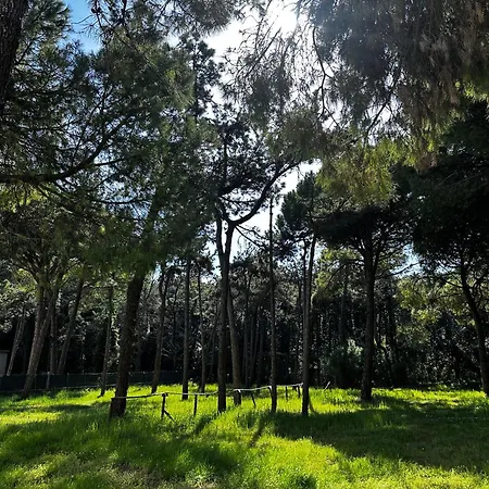 Golden Sunset * リニャーノ・サッビアドーロ