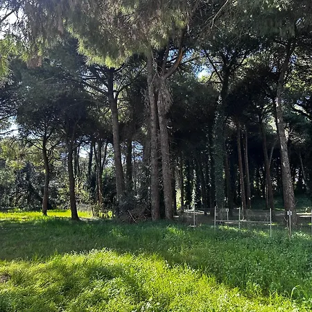 Golden Sunset * リニャーノ・サッビアドーロ