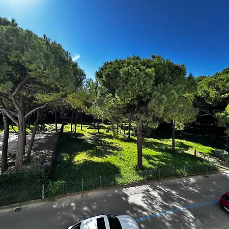 Apartment Golden Sunset