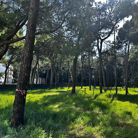 Apartment Golden Sunset *