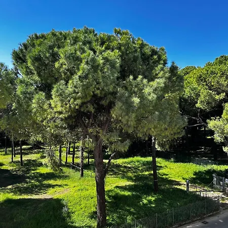 شقة Golden Sunset