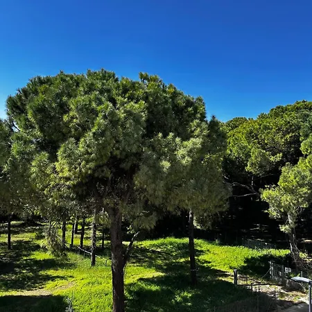 Golden Sunset شقة *